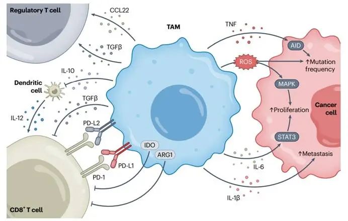 圖示, 示意圖

AI 生成的內(nèi)容可能不正確。